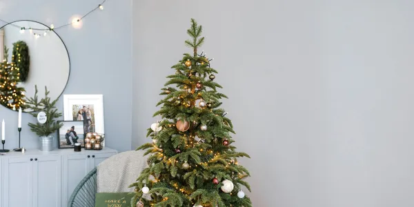 De belles idées photos pour les fêtes