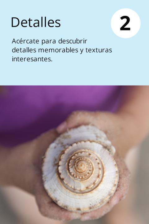 2) Detalles Acércate para descubrir detalles memorables y texturas interesantes.